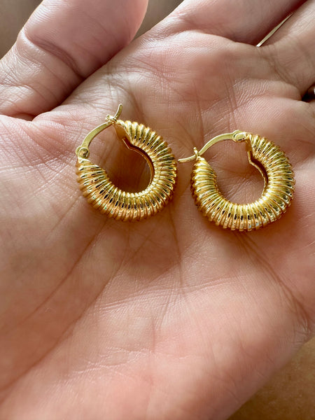 wormy earrings